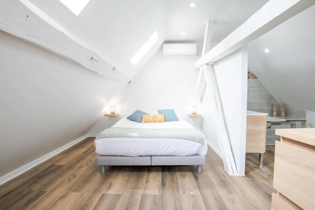 Comfortable Air-Conditioned T3 In The Heart Of Amboise With Parking Space Luaran gambar