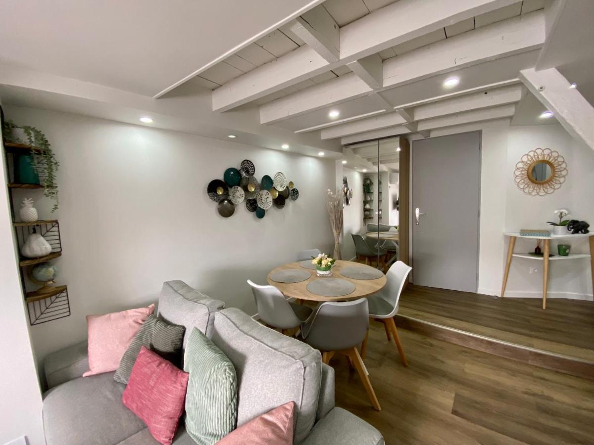Comfortable Air-Conditioned T3 In The Heart Of Amboise With Parking Space Luaran gambar