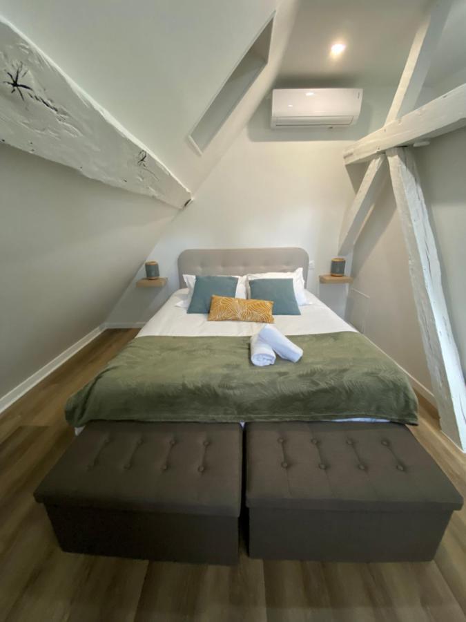 Comfortable Air-Conditioned T3 In The Heart Of Amboise With Parking Space Luaran gambar